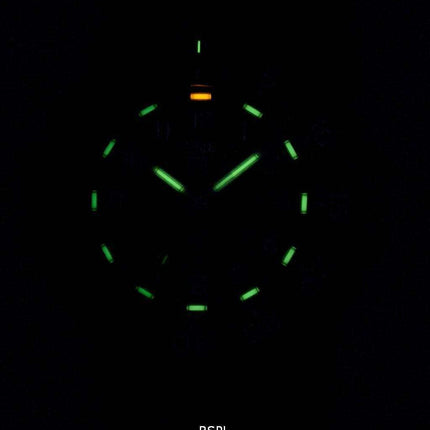 Luminox Sea Original Navy Seal 3000 Series Swiss Quartz 200M XS.3001 Men's Watch