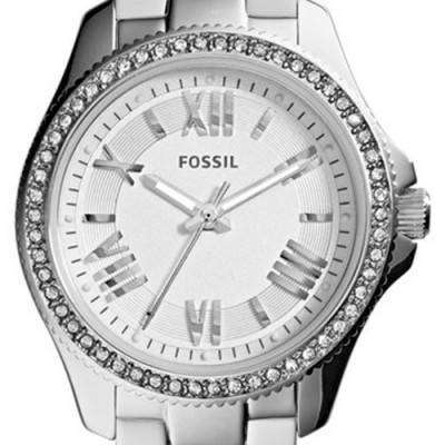 Fossil Cecile Silver Dial Crystal Stainless Steel AM4576 Womens Watch